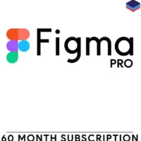 Figma Pro 2 Years